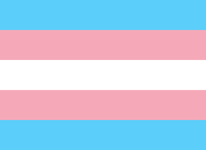The transgender flag. Six horizontal rows of color. Top to bottom: blue, pink, white, pink, blue